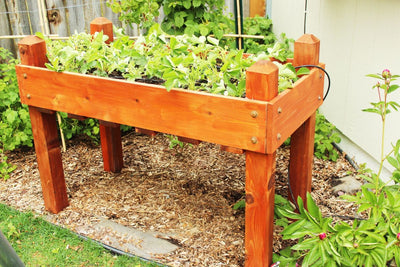 Planter Boxes and Gardening