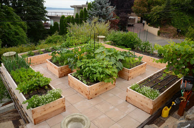 Raised Beds and Containers