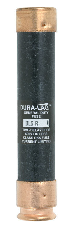 Bussmann 15 amps Dual Element Time Delay Fuse 1 each