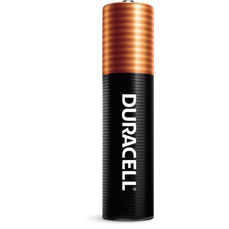 Duracell Coppertop AAA Alkaline Batteries 20 pk Carded