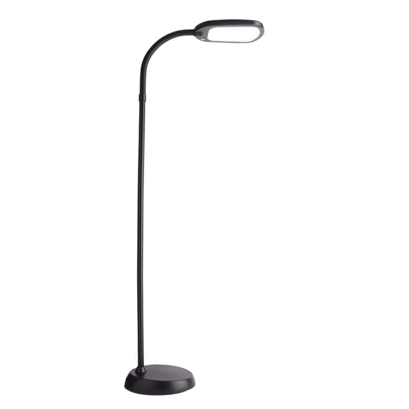 Newhouse Lighting Apollo 52 in. Black Floor Lamp