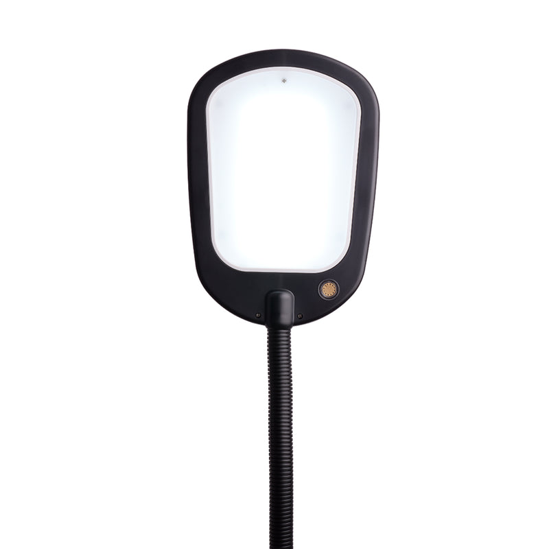 Newhouse Lighting Apollo 52 in. Black Floor Lamp