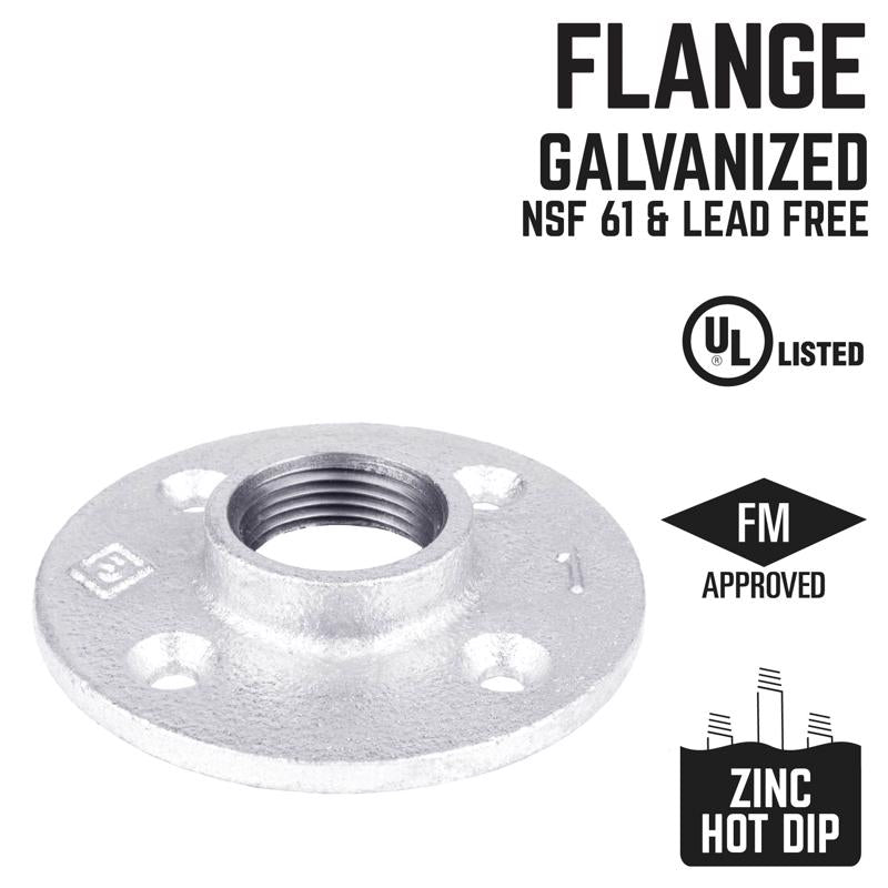 STZ Industries 2 in. FIP each Galvanized Malleable Iron Floor Flange