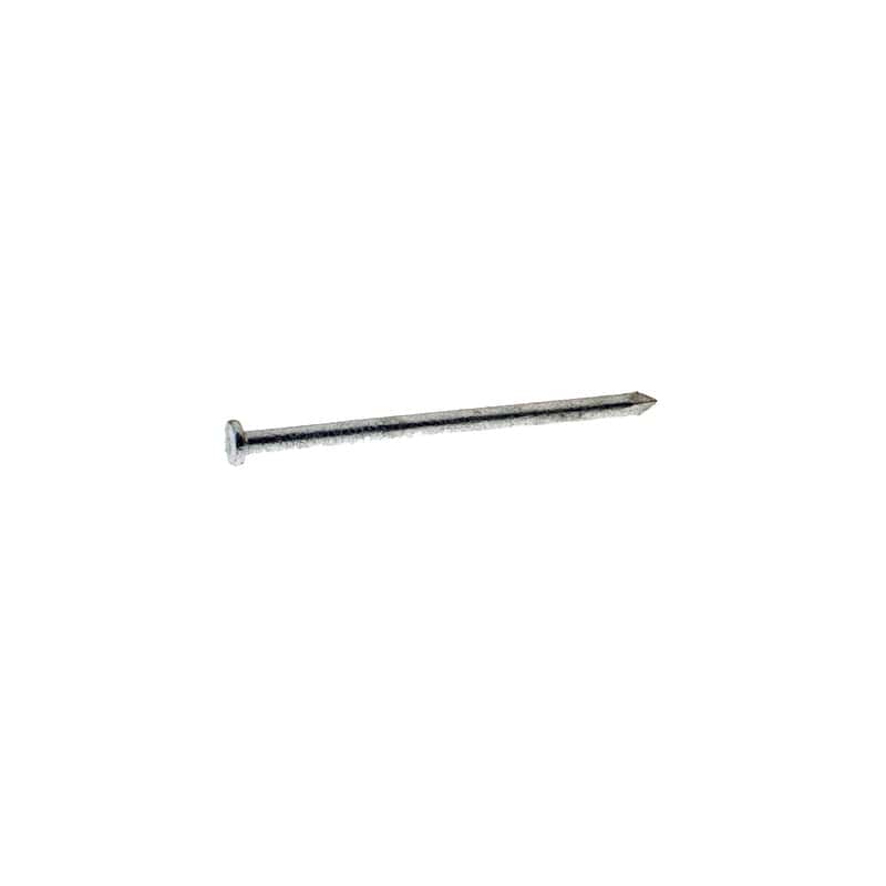 Grip-Rite 4D 1-1/2 in. Common Hot-Dipped Galvanized Steel Nail Flat Head 50 lb
