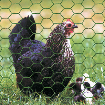 Garden Craft 36 in. H X 25 ft. L Galvanized Steel Poultry Netting 1 in.