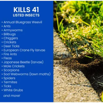 BioAdvanced Insect Killer Granules 10 lb