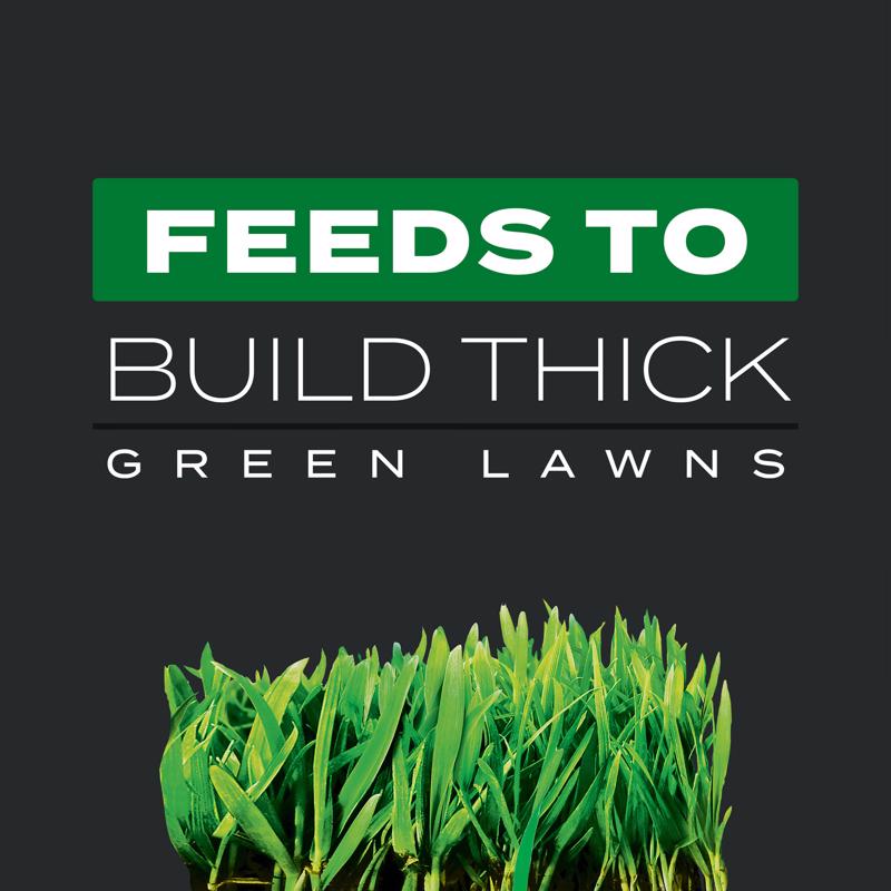 Scotts Turf Builder Triple Action Weed & Feed Lawn Fertilizer For Multiple Grass Types 4000 sq ft