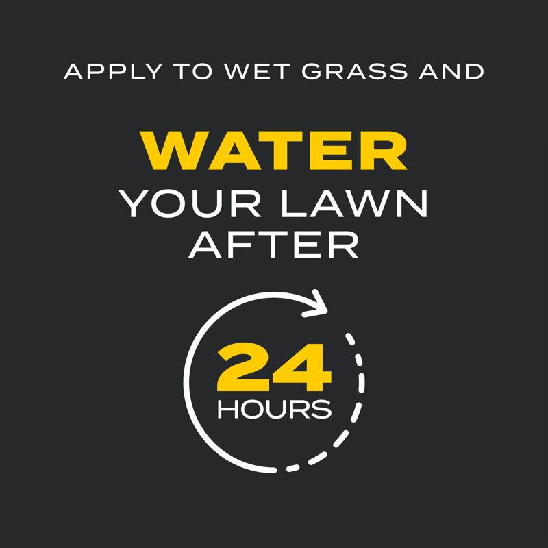 Scotts Turf Builder Triple Action Weed & Feed Lawn Fertilizer For Multiple Grass Types 4000 sq ft
