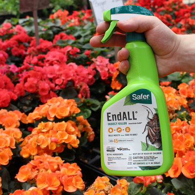 Safer Brand EndALL Organic Insect Killer Liquid 32 oz