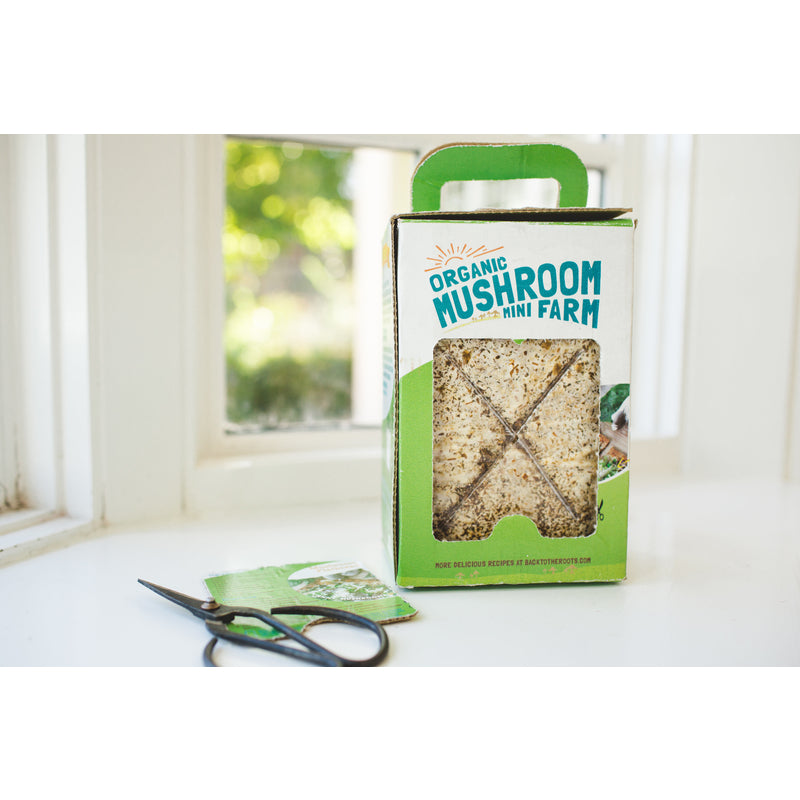 Back to the Roots Mushroom Mini Farm 1 pk