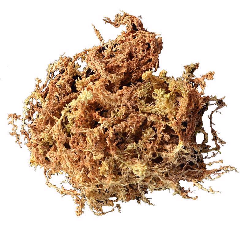 Mosser Lee Organic Natural Sphagnum Moss 432 cu in