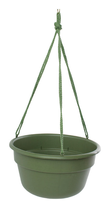 Bloem 6.8 in. H X 12.5 in. W X 12.4 in. D Resin Dura Cotta Hanging Basket Living Green