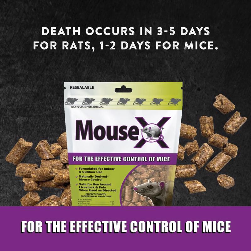 MouseX Non-Toxic Bait Pellets For Mice 1 lb 1 pk