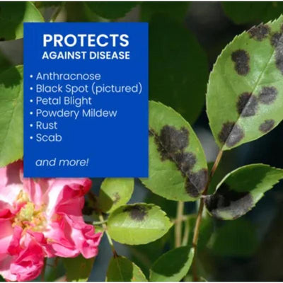 BioAdvanced 3-in-1 Insect, Disease & Mite Control Liquid 32 oz