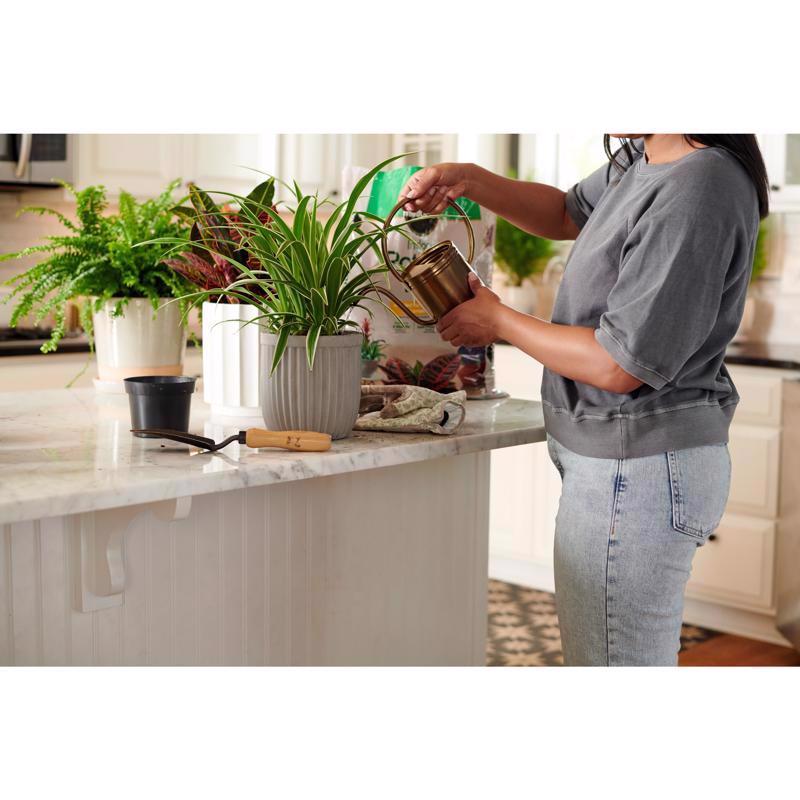 Miracle-Gro Indoor Plant Potting Soil 16 qt