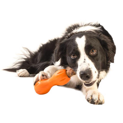 West Paw Zogoflex Orange Plastic Qwizl Dog Treat Toy/Dispenser Small in. 1 pk