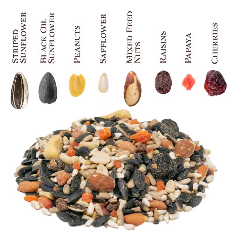 Songbird Selections Berry Burst with Mixed Nuts Wild Bird Seed Wild Bird Food 5 lb