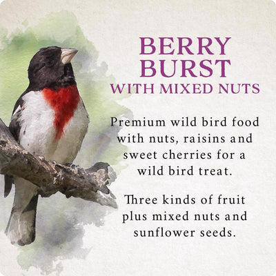 Songbird Selections Berry Burst with Mixed Nuts Wild Bird Seed Wild Bird Food 5 lb