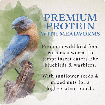 Songbird Selections Premium Protein with Mealworms Wild Bird Seed Wild Bird Food 5 lb