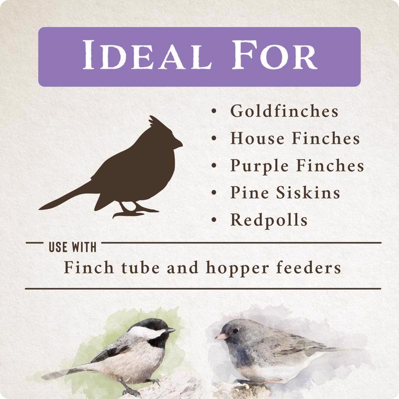 Songbird Selections Wild Finch Feast with Nyjer Wild Bird Seed Wild Bird Food 10 lb