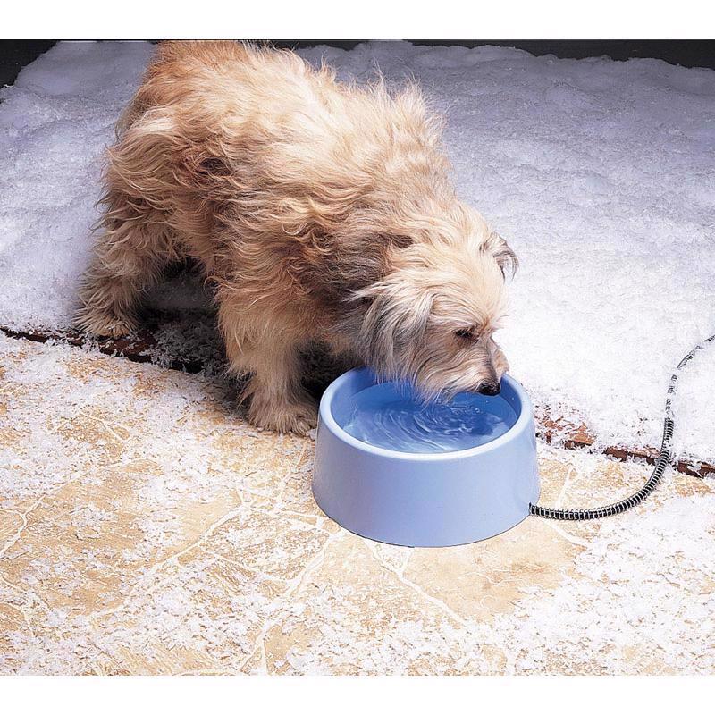 API Blue Plastic 5 qt Heated Pet Bowl For Dog