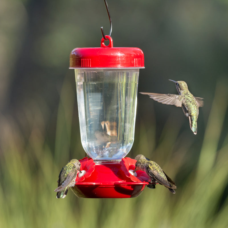 Perky-Pet Hummingbird 16 oz Plastic Nectar Feeder 4 ports