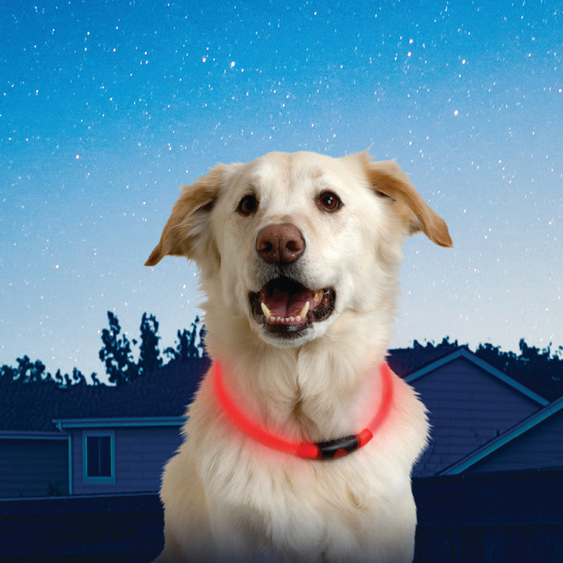 Nite Ize NiteHowl Red Plastic Dog Collar