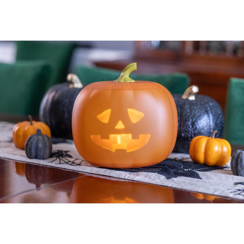 Mindscope Animat3D 11 in. Jabberin&