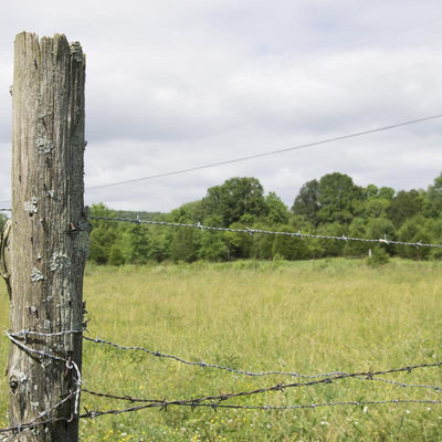 Mat Farmgard 1320 ft. L 12.5 Ga. 2-point Galvanized Steel Barbed Wire