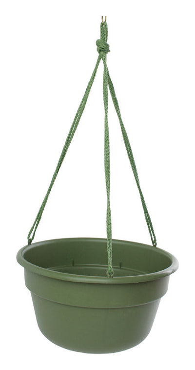 Bloem 6.8 in. H X 12.4 in. D Resin Hanging Basket Chocolate Bloem 6.8 in. H X 12.4 in. D Resin Dura Cotta Hanging Basket Living Green 