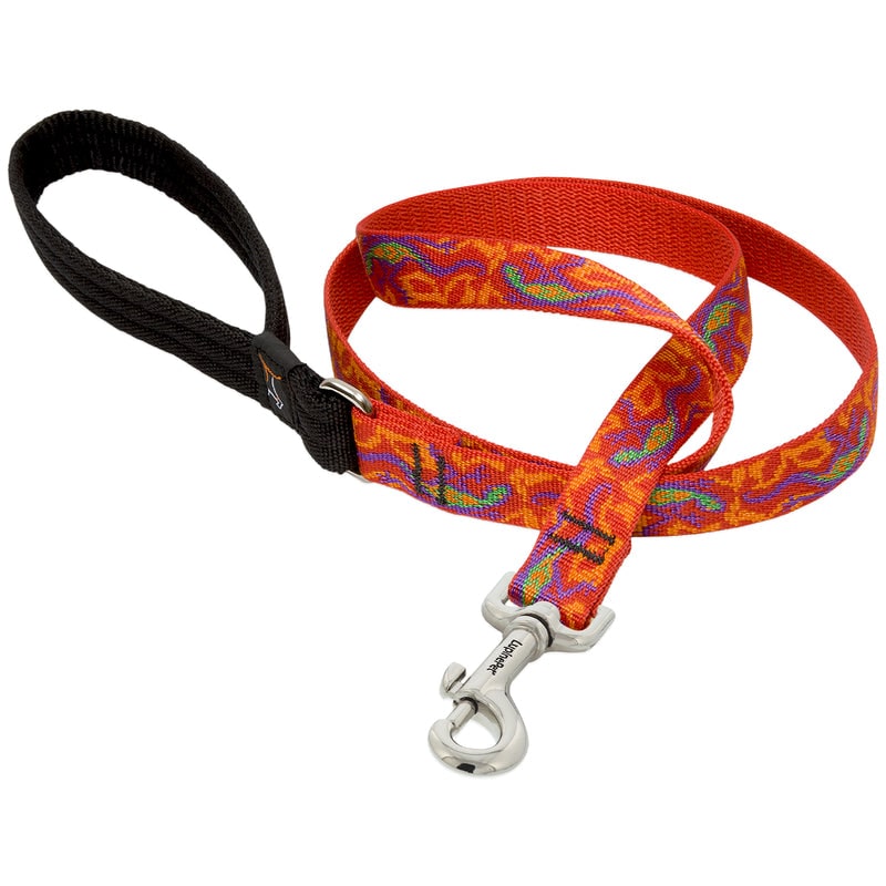Lupine Pet Original Designs Multicolor Go Go Gecko Nylon Dog Leash 