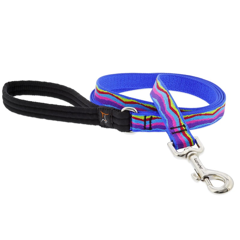 Lupine Pet Original Designs Multicolored Ripple Creek Nylon Dog Leash 