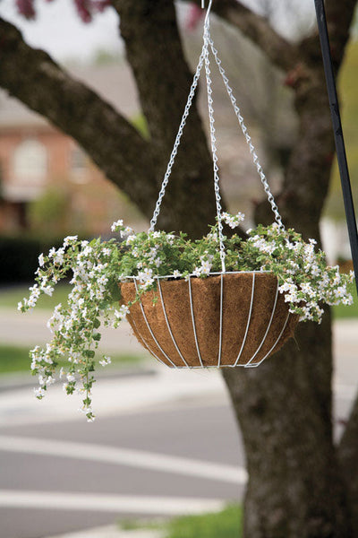 Smith-Cooper 1/8 in. FPT X 1/8 in. D FPT Stainless Steel 0.53 in. L Cap Panacea Steel Hanging Basket Green Panacea Steel Hanging Basket White 
